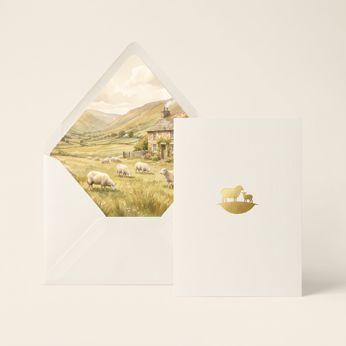 Greeting Card - Sheep