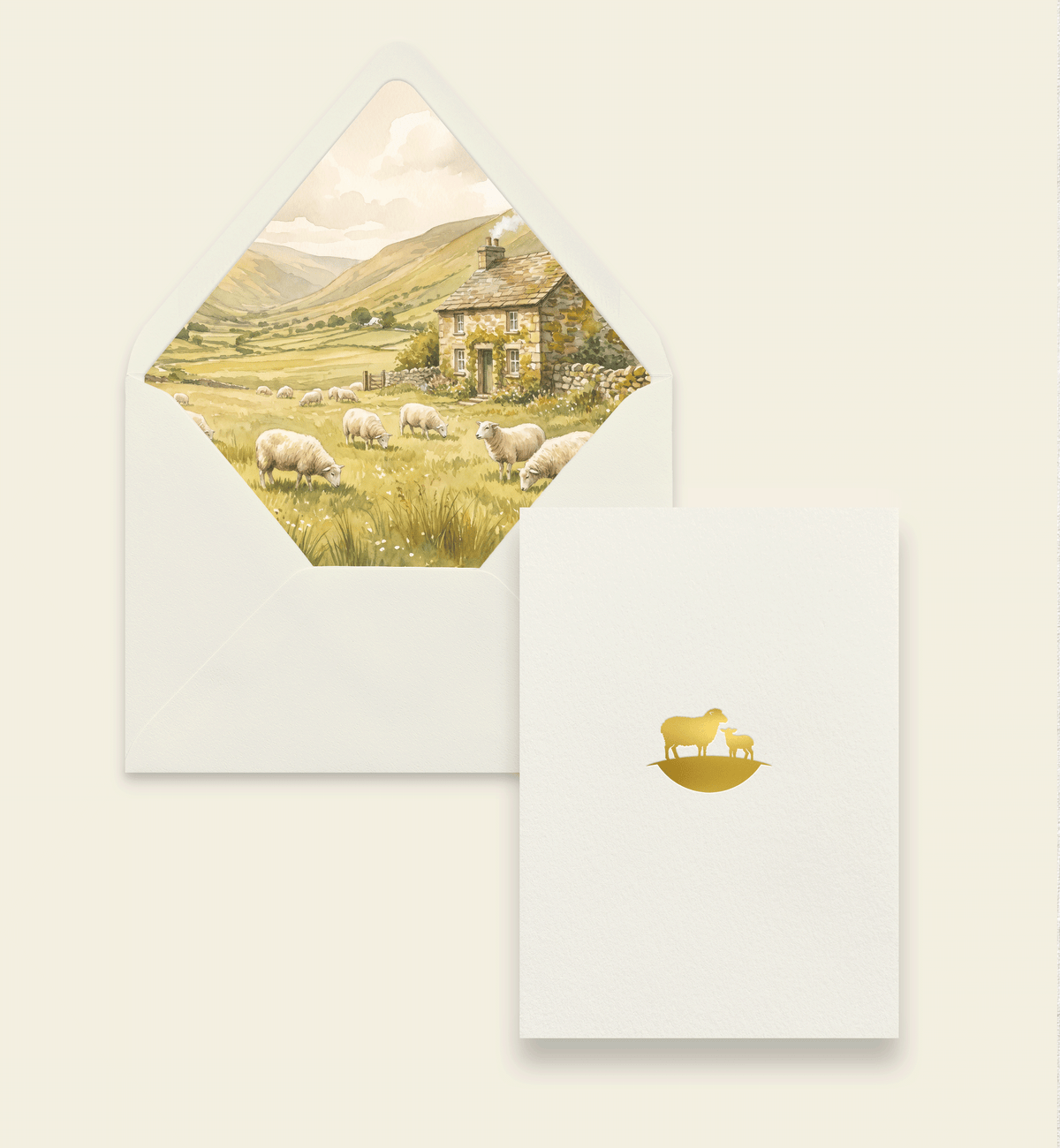 Greeting Card - Sheep